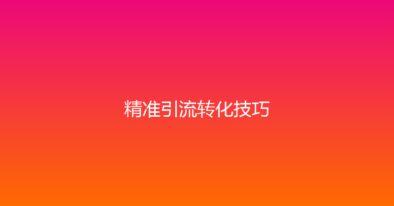 精准引流转化技巧 封面图